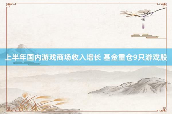 上半年国内游戏商场收入增长 基金重仓9只游戏股