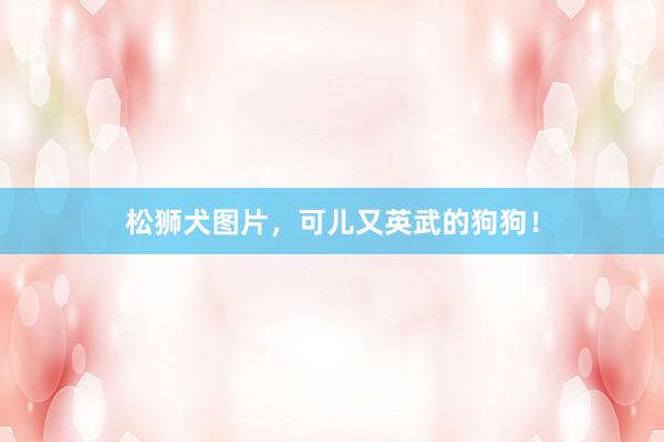 松狮犬图片，可儿又英武的狗狗！