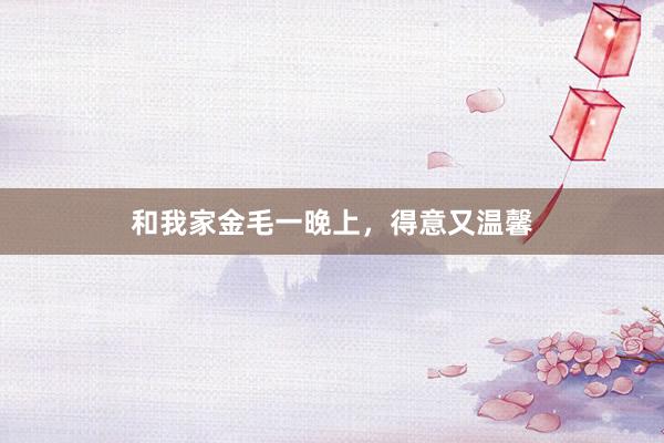 和我家金毛一晚上，得意又温馨